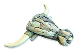 Driftwood Bulls Head