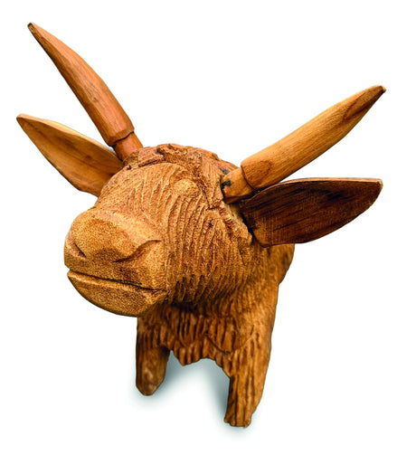Angus The Bull
