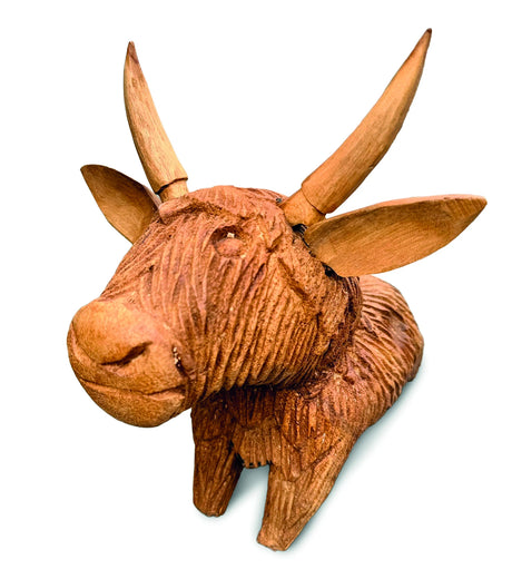 Angus The Bull