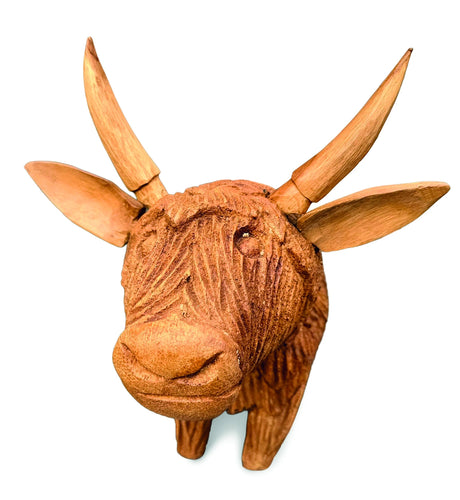 Angus The Bull