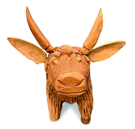 Angus The Bull