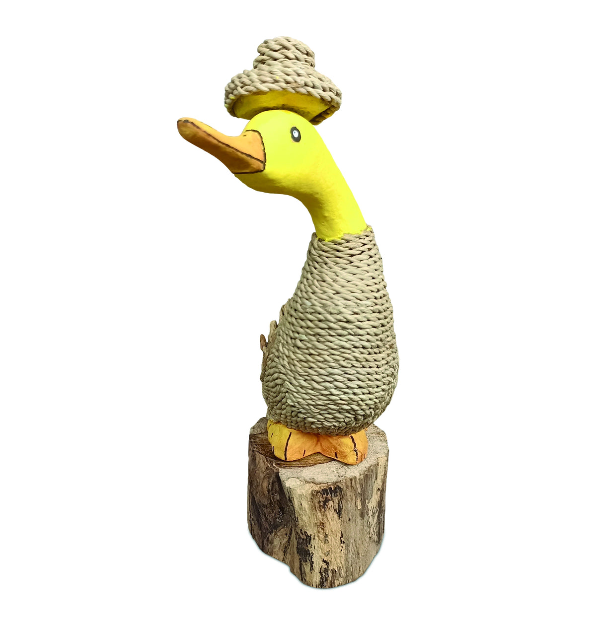 Duckleberry Finn 22cm