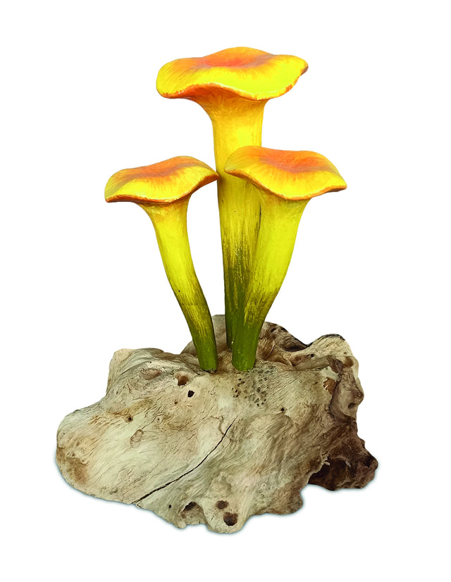 Chanterelle Triple Painted Mushroom