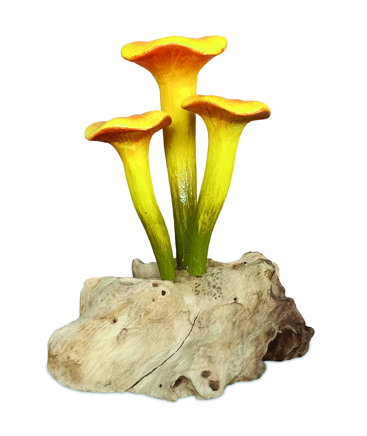 Chanterelle Triple Painted Mushroom