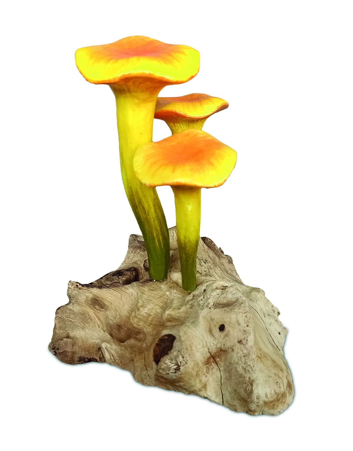 Chanterelle Triple Painted Mushroom