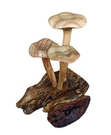 Foraged Trio Of Chanterelle Mushrooms