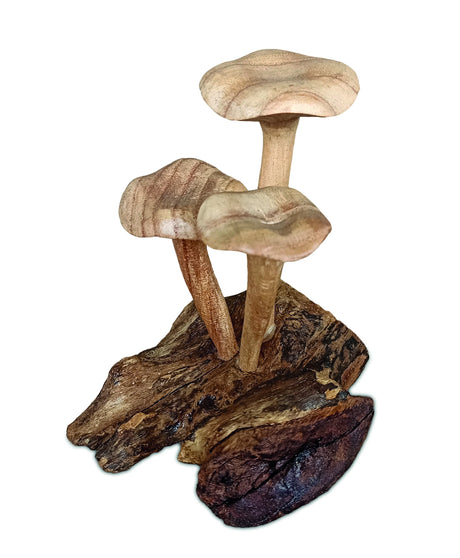 Foraged Trio Of Chanterelle Mushrooms
