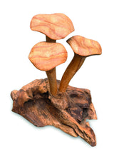 Foraged Trio Of Chanterelle Mushrooms