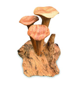 Foraged Trio Of Chanterelle Mushrooms