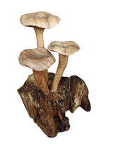 Foraged Trio Of Chanterelle Mushrooms