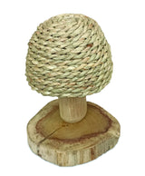 Thatchcap Toadstool 14cm