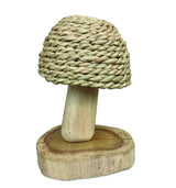 Thatchcap Toadstool 14cm
