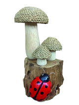The Enchanted Ladybird 18cm