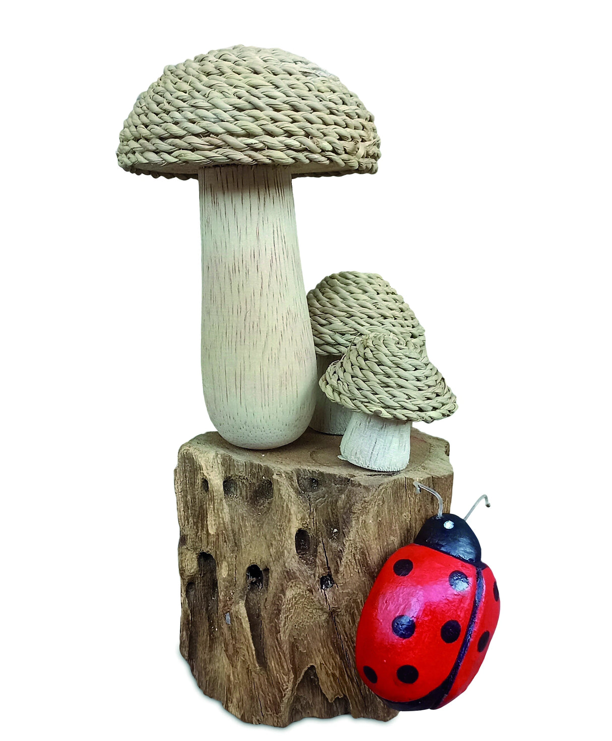 The Enchanted Ladybird 18cm