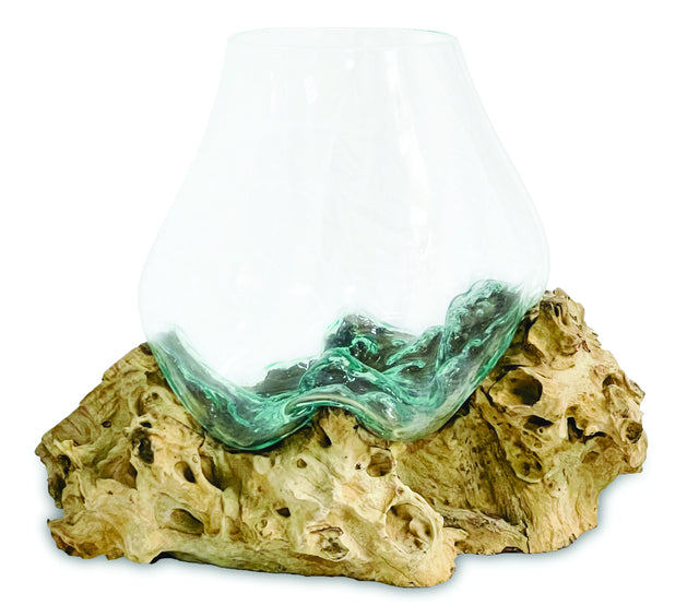 Root With Glass Bowl Extra Large