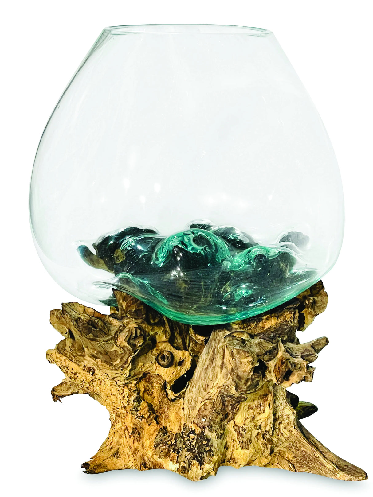 Root With Glass Bowl Extra Extra Large