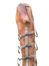 Root Sculpture Wine Holder 8 Hole