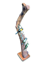 Root Sculpture Wine Holder 8 Hole