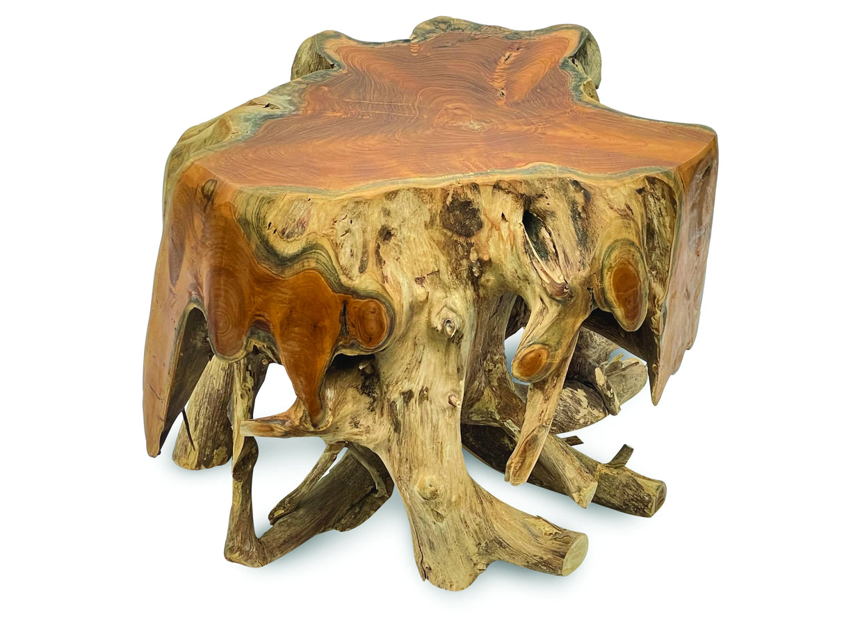 root round spider coffee table small