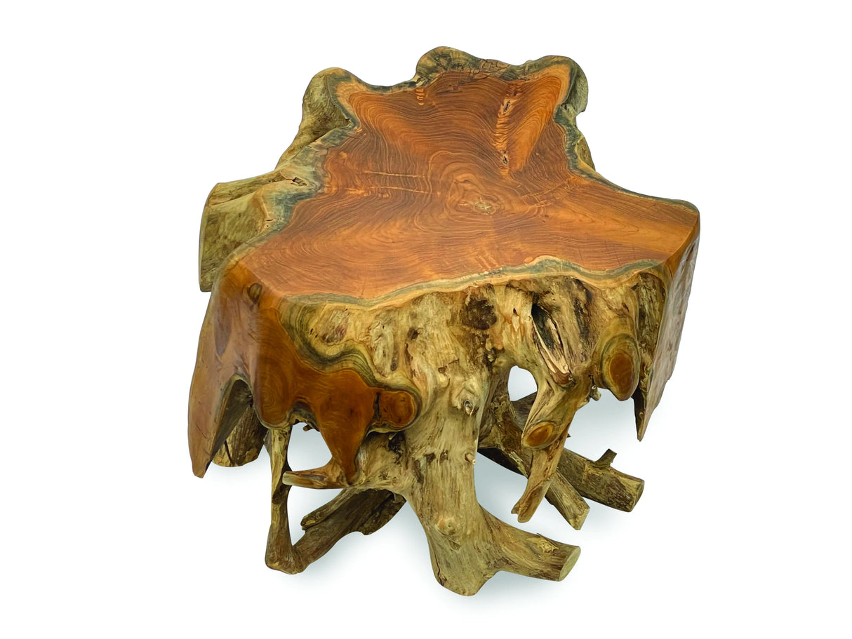 root round spider coffee table small