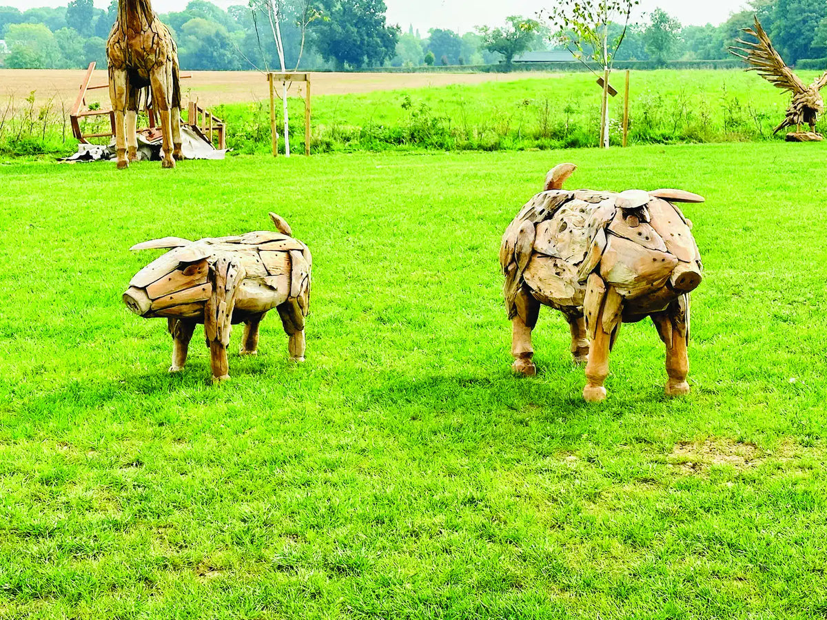 Root Pig Large