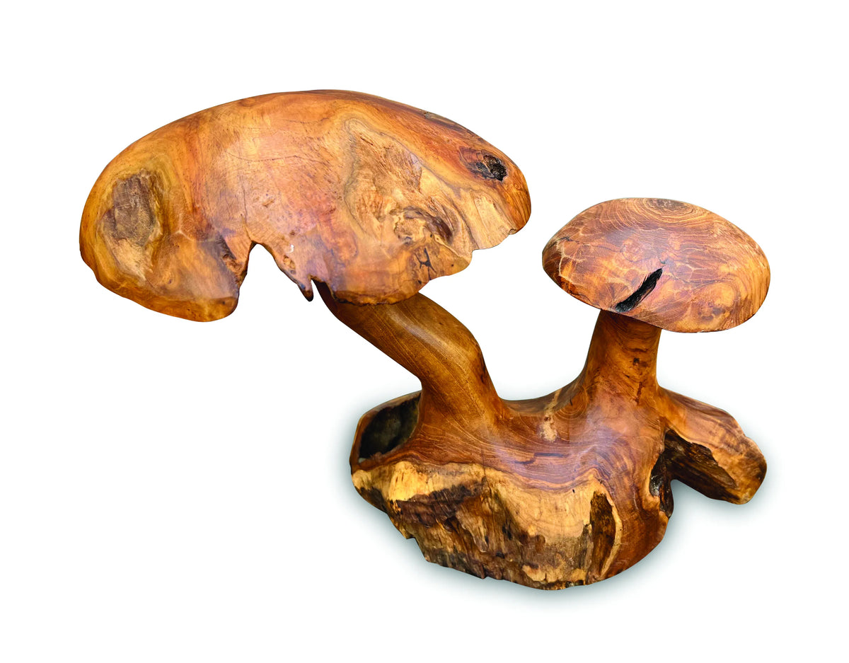 Root Double Wild Mushroom