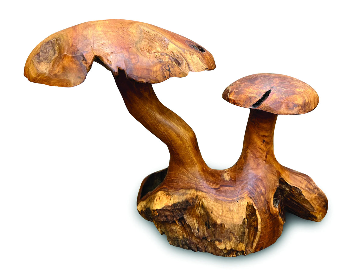 Root Double Wild Mushroom