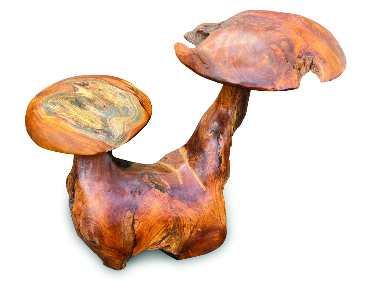 Root Double Wild Mushroom
