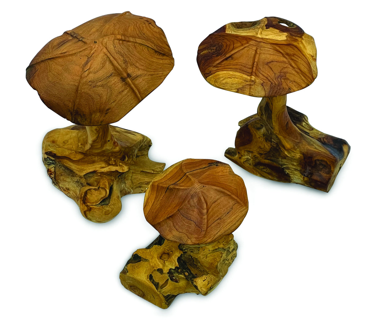 Root Wild Mushrooms - Set Of 3