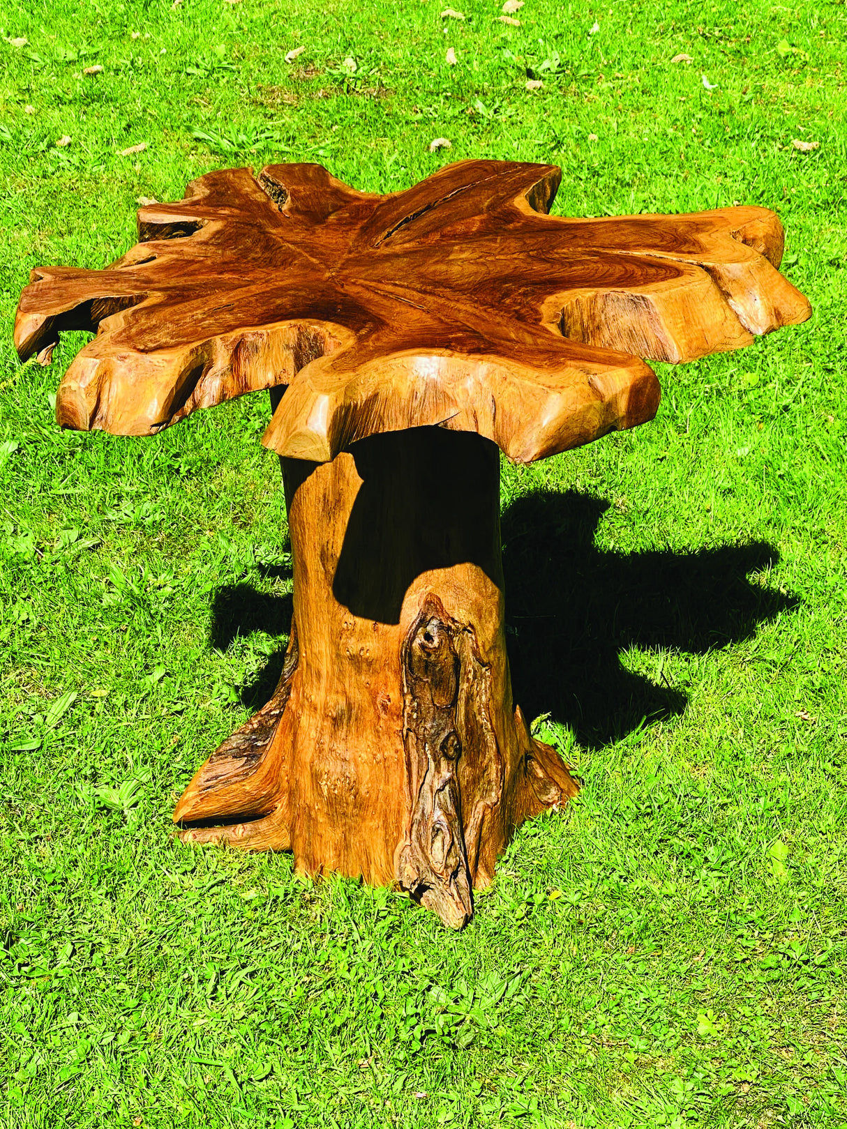 root mushroom side table
