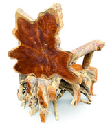 Root Spider Chair