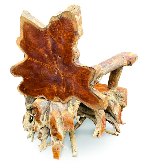 Root Spider Chair