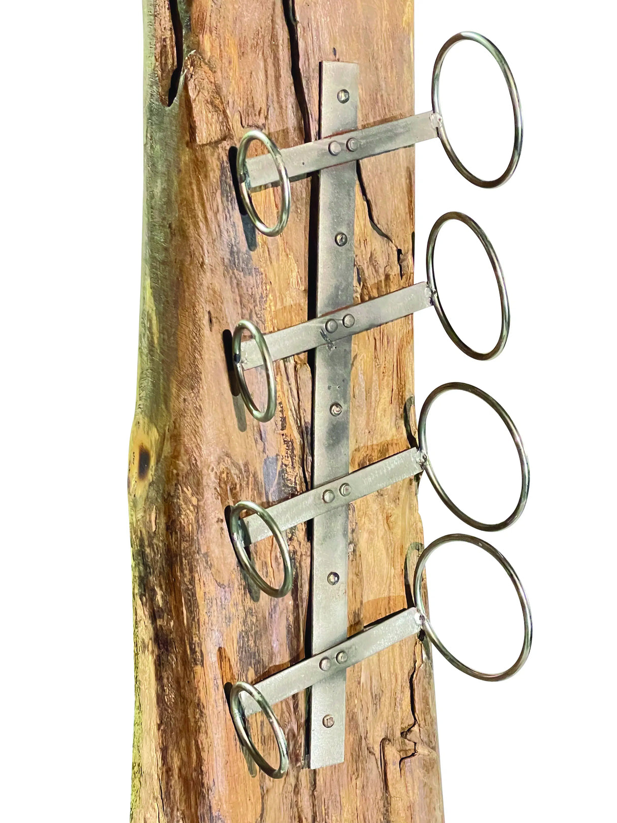 Root Sculpture Wine Holder 4 Hole
