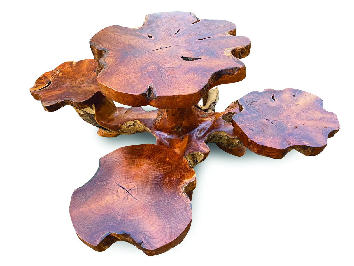 root dining table set