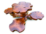 root dining table set
