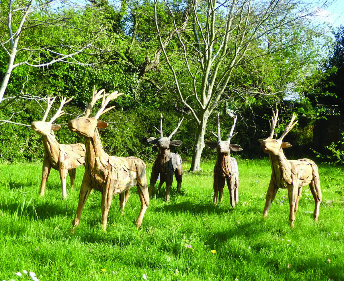 Root Small Stag/Reindeer