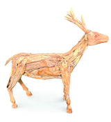 Root Small Stag/Reindeer