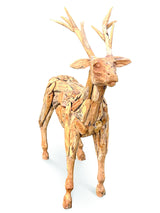 Root Small Stag/Reindeer