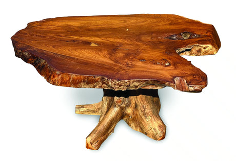 Root Coffee Table 1 Leg