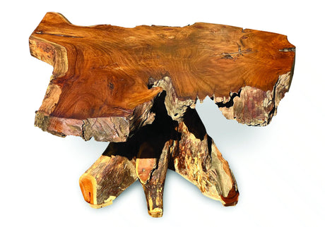 Root Coffee Table 1 Leg