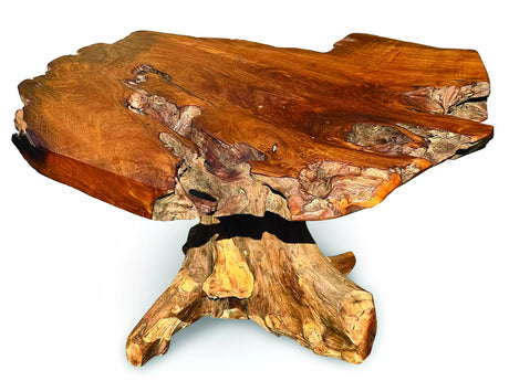 Root Coffee Table 1 Leg