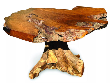 Root Coffee Table 1 Leg