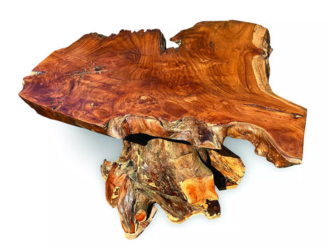 Root Coffee Table 1 Leg