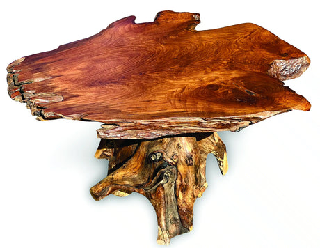 Root Coffee Table 1 Leg