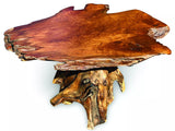 Root Coffee Table 1 Leg