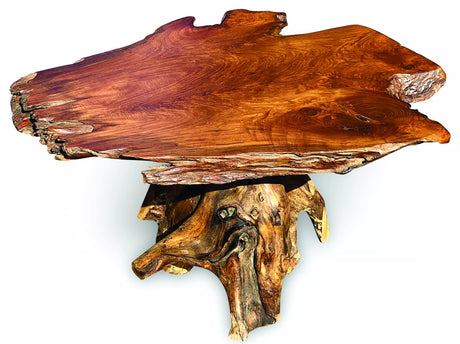 Root Coffee Table 1 Leg