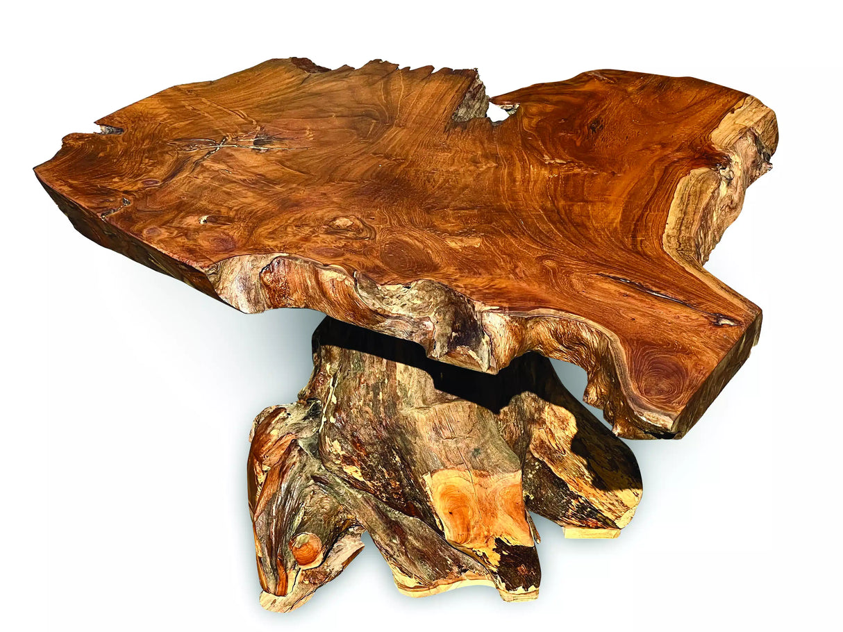 Root Coffee Table 1 Leg