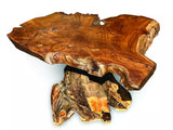 Root Coffee Table 1 Leg