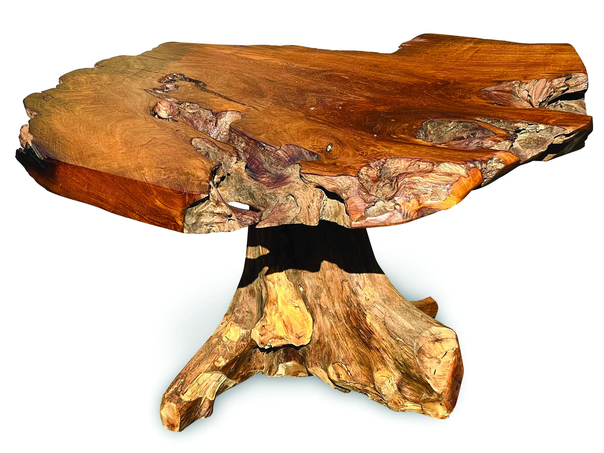 Root Coffee Table 1 Leg