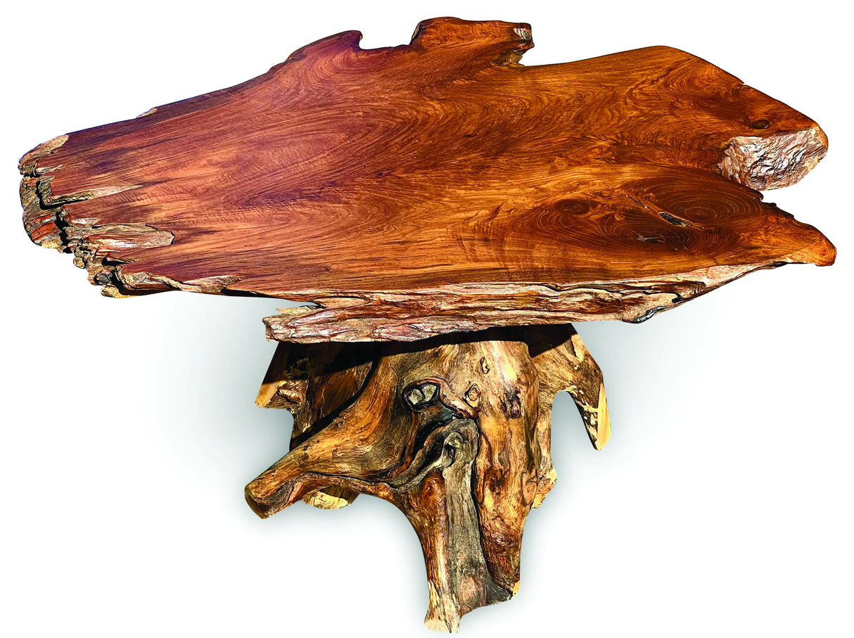 Root Coffee Table 1 Leg